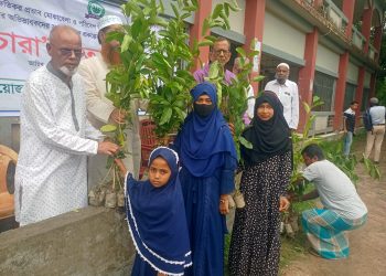 পটুয়াখালীতে হাশেম-রোকেয়া সমাজ উন্নয়ন সংস্থার উদ্যোগে চারা বিতরণ