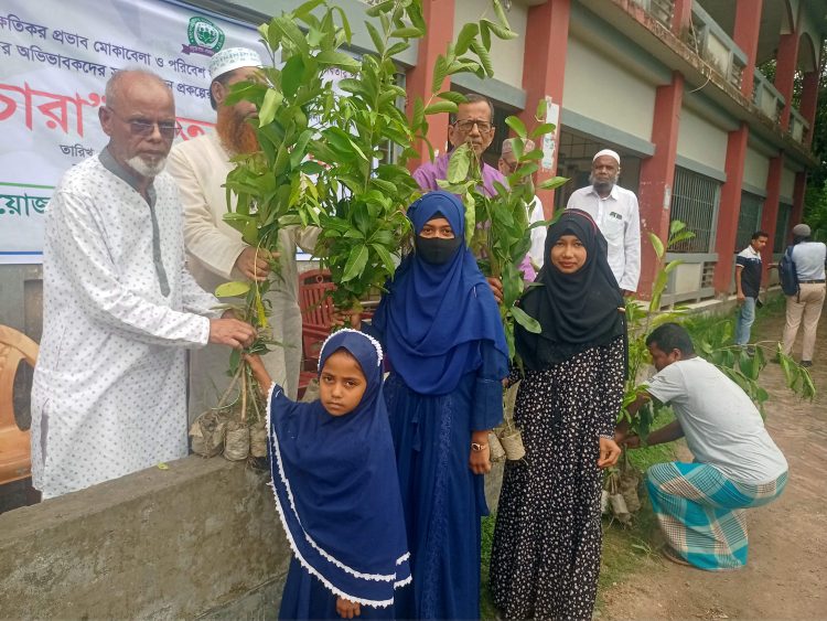 পটুয়াখালীতে হাশেম-রোকেয়া সমাজ উন্নয়ন সংস্থার উদ্যোগে চারা বিতরণ