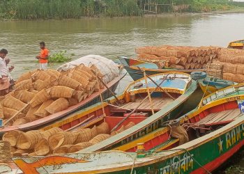 কাউখালীতে অবাধে ‘চাই’ দিয়ে মাছ শিকার: হুমকির মুখে দেশীয় মৎস্য সম্পদ