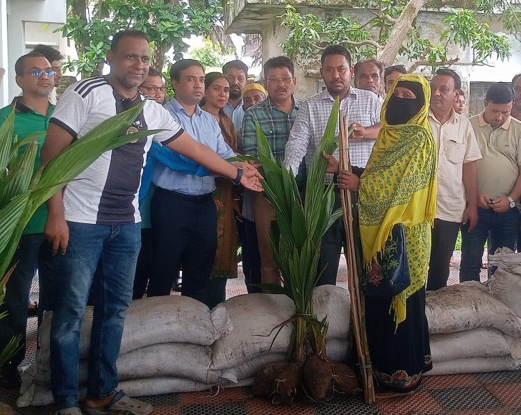 কাউখালীতে ৪২০ কৃষকের মাঝে ২১০০ নারকেল চারা বিতরণ