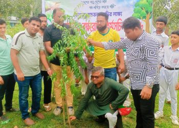 কাউখালীতে ‘ওয়ান চাইল্ড ওয়ান ট্রি’ কর্মসূচি পালন: ২৮ শিক্ষা প্রতিষ্ঠানে বৃক্ষরোপণ