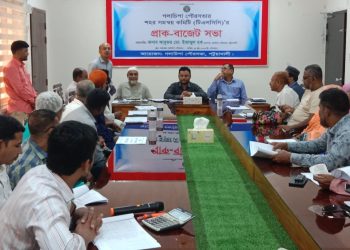 গলাচিপায় পৌরসভার প্রাক-বাজেট সভা অনুষ্ঠিত