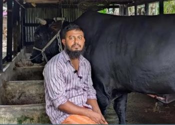 খালেদা জিয়াকে ‘কালো মানিক’ উপহার দেওয়া সোহাগ মৃধা গ্রেফতার