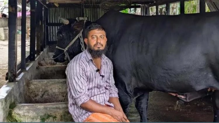 খালেদা জিয়াকে ‘কালো মানিক’ উপহার দেওয়া সোহাগ মৃধা গ্রেফতার