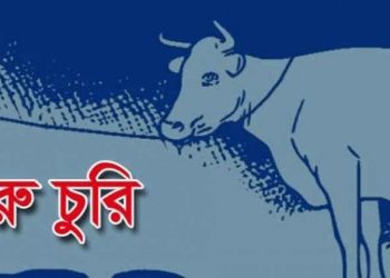 পটুয়াখালীতে এক রাতে দুই গৃহস্থের ৬টি গরু চুরি, এলাকায় আতঙ্ক