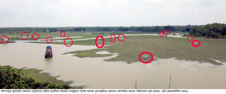 কলাপাড়য় আবাসন আগ্রাসনে প্লাবনভূমি বনভূমি দখলসহ বহুবিধ সংকটে সাগরপারের সংরক্ষিত বনাঞ্চল