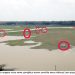 কলাপাড়য় আবাসন আগ্রাসনে প্লাবনভূমি বনভূমি দখলসহ বহুবিধ সংকটে সাগরপারের সংরক্ষিত বনাঞ্চল