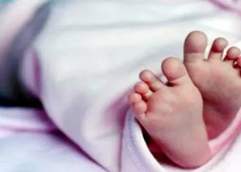 গলাচিপায় পরিত্যক্ত কার্টন থেকে নবজাতকের লাশ উদ্ধার