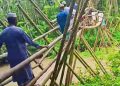 কাউখালীর জোলাগাতি খালে ঝুঁকিপূর্ণ বাঁশের সাঁকো; শতাধিক মানুষের দুর্ভোগ, পাকা সেতুর দাবিতে এলাকাবাসী