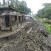 গলাচিপায় ঘেরের পানি সরাতে স্কুলের মাঠ ও রাস্তা কেটে ফেললেন ইউপি সদস্য