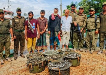 সুন্দরবনে বিভাগের অভিযানে কাঁকড়া ও হরিণ শিকারের ফাঁদ-সহ আটক ৪