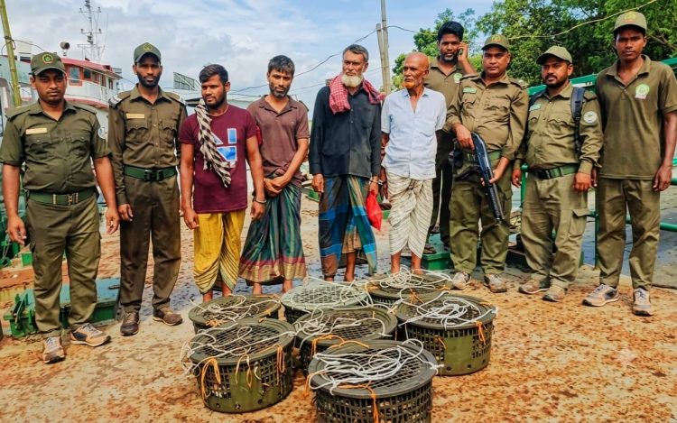সুন্দরবনে বিভাগের অভিযানে কাঁকড়া ও হরিণ শিকারের ফাঁদ-সহ আটক ৪