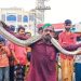 সুন্দরবন থেকে লোকালয়ে আসা ৯ ফুটের অজগর উদ্ধার