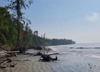 শুভসন্ধ্যা সৈকতে গোসলে নেমে তরুণ নিখোঁজ