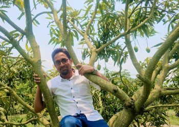 দশমিনায় কৃষি কর্মকর্তার আমগাছে উঠে প্রুনিং প্রশিক্ষণ, ছবি ভাইরাল