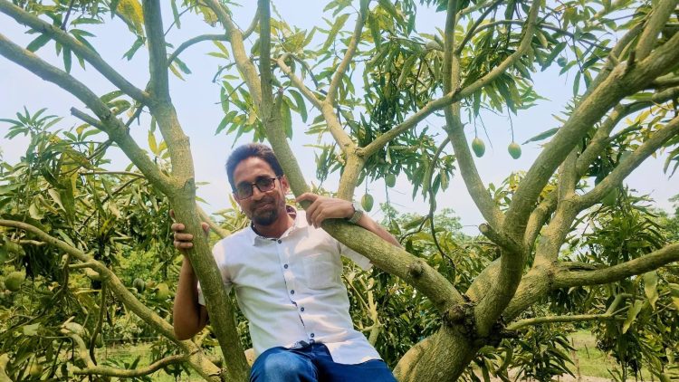 দশমিনায় কৃষি কর্মকর্তার আমগাছে উঠে প্রুনিং প্রশিক্ষণ, ছবি ভাইরাল