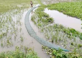 দশমিনায় নিষিদ্ধ চায়না দুয়ারি জালে নিধন হচ্ছে দেশীয় প্রজাতির মাছ, হুমকিতে জীববৈচিত্র্য