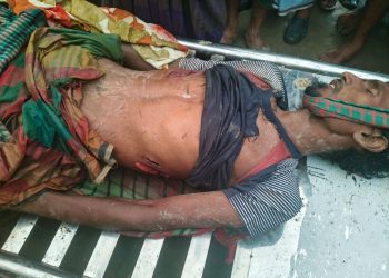 কলাপাড়ায় বলি মহিষের হামলায় কৃষক নিহত