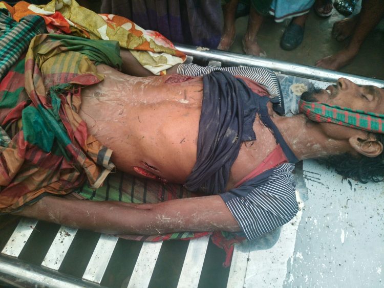 কলাপাড়ায় বলি মহিষের হামলায় কৃষক নিহত