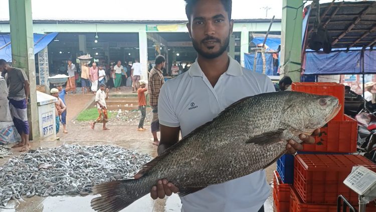 ৫৮ দিনের নিষেধাজ্ঞার পর সাগরে মিলল ‘কালো সোনা’, ৮ কেজির কালো পোয়া বিক্রি ৫০ হাজার টাকায়