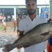 ৫৮ দিনের নিষেধাজ্ঞার পর সাগরে মিলল ‘কালো সোনা’, ৮ কেজির কালো পোয়া বিক্রি ৫০ হাজার টাকায়