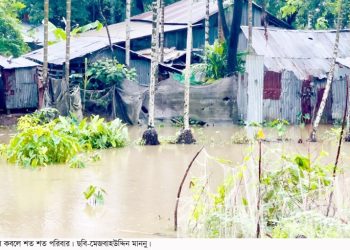 টানা বৃষ্টিতে কলাপাড়ায় জলাবদ্ধতা, ক্ষতির মুখে হাজারো পরিবার ও সবজি চাষ