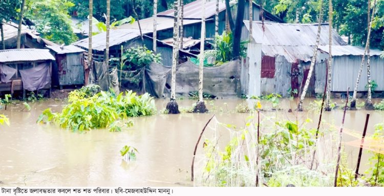 টানা বৃষ্টিতে কলাপাড়ায় জলাবদ্ধতা, ক্ষতির মুখে হাজারো পরিবার ও সবজি চাষ