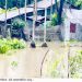 টানা বৃষ্টিতে কলাপাড়ায় জলাবদ্ধতা, ক্ষতির মুখে হাজারো পরিবার ও সবজি চাষ