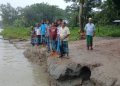 খরস্রোতা পায়রা নদীর কড়াল থাবায় পটুয়াখালী সদরের ছোটবিঘাই ইউনিয়নের ৪ টি গ্রাম প্রায় বিলীন হতে যাচ্ছে