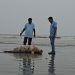 কুয়াকাটা সৈকতে ভেসে এলো ৮ ফুট দীর্ঘ মৃত ডলফিন