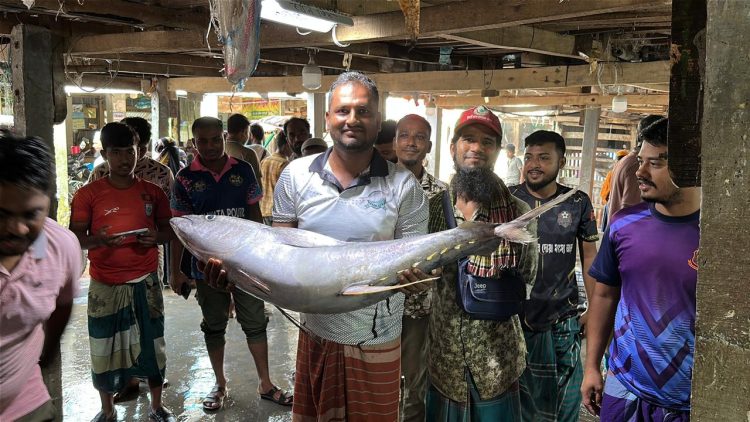 বঙ্গোপসাগরে ধরা পড়ল ২৯ কেজির টুনা মাছ, বিক্রি ৪০ হাজার টাকায়