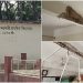 গলাচিপায় ঝুঁকিপূর্ণ বিদ্যালয় ভবন, ছাদের পলেস্তারা খসে আতঙ্কে শিক্ষক-শিক্ষার্থী