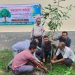 প্রকৃতি বাঁচাতে বৃক্ষ রোপণই পৃথিবীর প্রাণ” — ইউএনও আবুজর মোঃ ইজাজুল হক