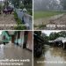 টানা বর্ষণে কেশবপুর ইউনিয়নে জনজীবন বিপন্ন ও শিক্ষা প্রতিষ্ঠানে জলাবদ্ধতা
