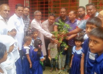 কাউখালীতে প্রধানমন্ত্রীর বৃক্ষরোপণ কর্মসূচি ও প্রাথমিক শিক্ষা পদক-২০২৬ উপলক্ষে অনুষ্ঠান অনুষ্ঠিত