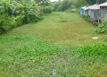 অস্তিত্ব সংকটে রাঙ্গাবালীর কাটাখালী খাল, স্লুইসগেট নির্মাণের দাবি