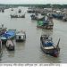 লঘুচাপের প্রভাবে কলাপাড়ার উপকূলজুড়ে মাঝারি বৃষ্টিপাত, মৃদু দমকা হাওয়া; সাগর প্রচণ্ড উত্তাল, শত শত মাছ ধরার ট্রলার ঘাটে