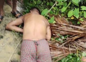 বাউফলে ছেঁড়া বিদ্যুতের তারে পেঁচিয়ে যুবকের মৃত্যু