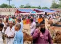 পঞ্চগড়ের ভাউলাগঞ্জ হাটে টোল আদায়ে অনিয়ম, সরকারি টোল ৫৫০, নেওয়া হচ্ছে ৭০০ টাকা