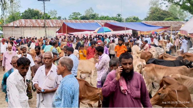 পঞ্চগড়ের ভাউলাগঞ্জ হাটে টোল আদায়ে অনিয়ম, সরকারি টোল ৫৫০, নেওয়া হচ্ছে ৭০০ টাকা
