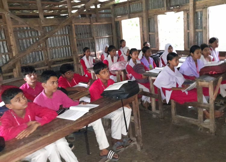 ৫৭ বছরেও পাকা ভবন পায়নি কাউখালীর উত্তর নীলতি সমতট মাধ্যমিক বিদ্যালয়, ঝুঁকিপূর্ণ টিনশেডে চলছে পাঠদান
