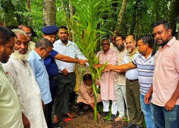 কাউখালীতে শিক্ষা প্রতিষ্ঠানে ইউএনও’র সুপারি গাছের চারা রোপণ