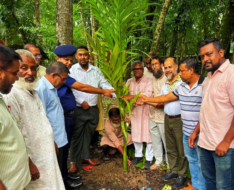 কাউখালীতে শিক্ষা প্রতিষ্ঠানে ইউএনও’র সুপারি গাছের চারা রোপণ