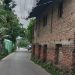কাউখালীতে সড়কে ঝুঁকির কারণ পরিত্যক্ত ভবন, চরম দুর্ভোগে চালক ও পথচারী