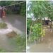 বাগেরহাটে বেড়িবাঁধের অভাবে জোয়ারের পানিতে ডুবে যায় মজিদডাঙ্গার ৩ শতাধিক ঘরবাড়ি