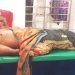 বাগেরহাটে হাঁস নিয়ে বিরোধে দুই পক্ষের সংঘর্ষ, বৃদ্ধ নিহত