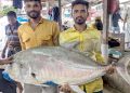 জেলের জালে ধরা পড়ল ৫৪ কেজির তবল মাছ, বিক্রি ৩৬ হাজারে