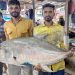 জেলের জালে ধরা পড়ল ৫৪ কেজির তবল মাছ, বিক্রি ৩৬ হাজারে