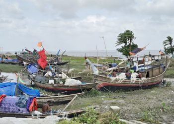 সাগরে বাঁচার আকুতি: তদারকি আর লাইসেন্সবিহীন ট্রলারে ঝুঁকিতে হাজারো জেলের জীবন