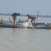 রাঙ্গাবালীতে ইলিশ মাছ ধরতে বিএনপি নেতার চাদা দাবিতে থানায় অভিযোগ